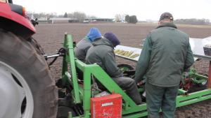 Eerste aanplant houtige biomassa in Gilze-Rijen