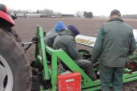 Eerste aanplant houtige biomassa in Gilze-Rijen