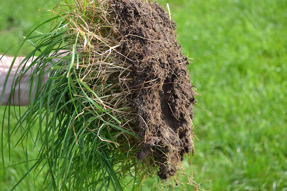 De bodem is misschien wel de belangrijkste productiefactor in je bedrijf