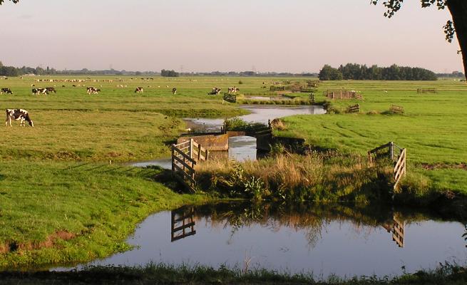 deltaplan agrarisch waterbeheer